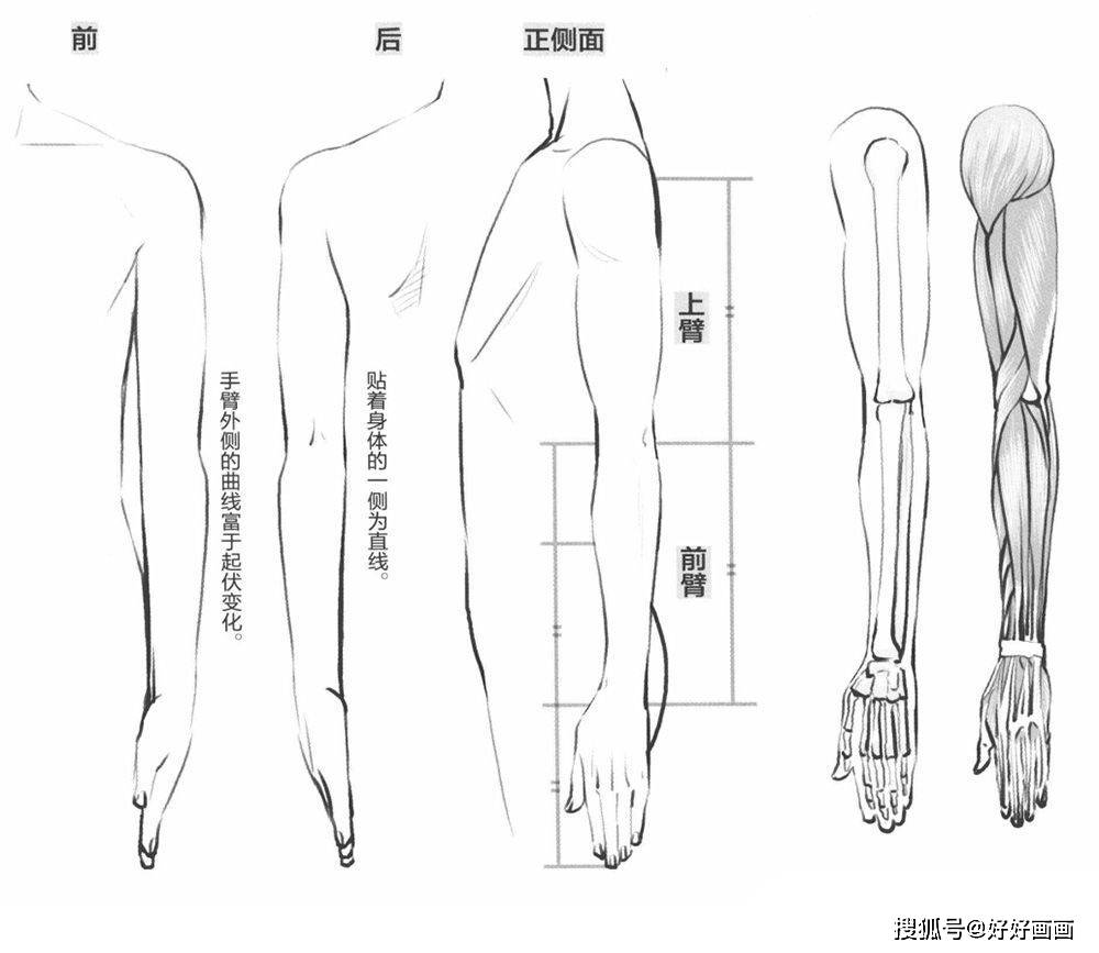 动漫人物手臂的画法,教你如何轻松绘画人物的手臂!