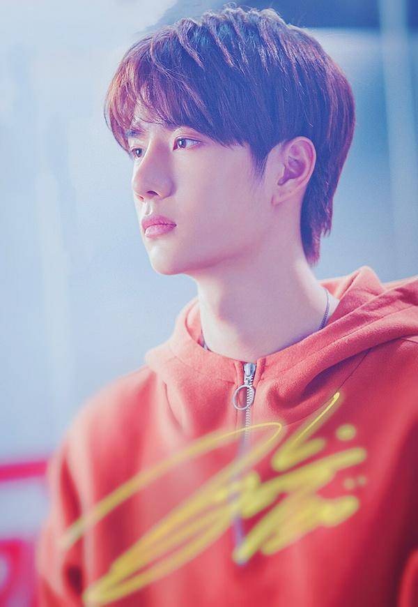 王一博粉丝帮宋茜拒演《洛阳》？粉丝干预过多