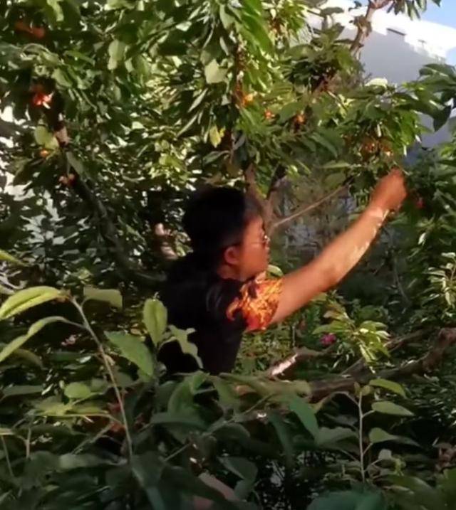 曾红极一时的杨志刚发文感叹，演技派无戏拍令