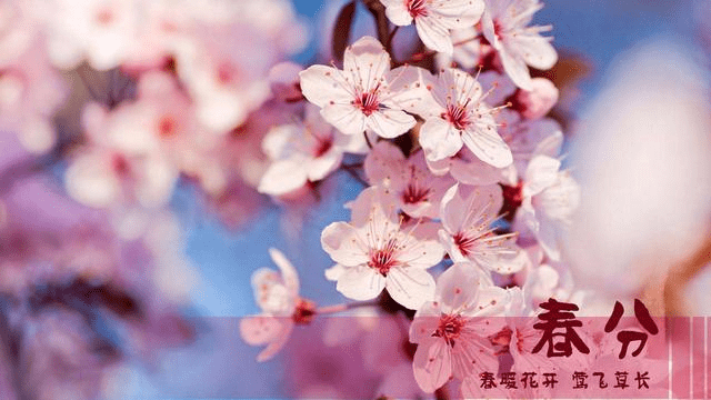 阁楼长着树枝猜一成语_树枝简笔画(2)