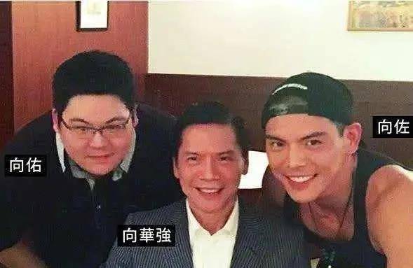 郭碧婷自曝被无限消费，向太力挺的背后是对入狱儿子的双重打击