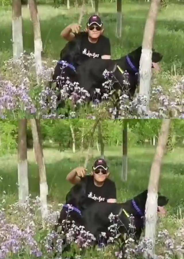 曾红极一时的杨志刚发文感叹，演技派无戏拍令