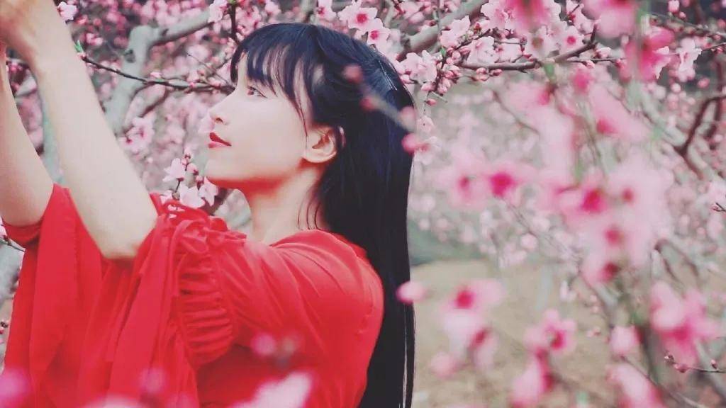 品牌|不懂这些，你的品牌成不了IP