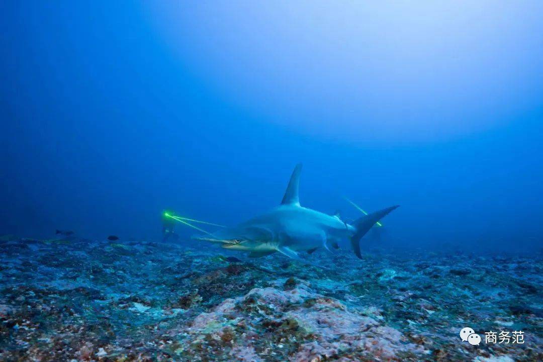 绿色|夏天，男人手上得戴点绿