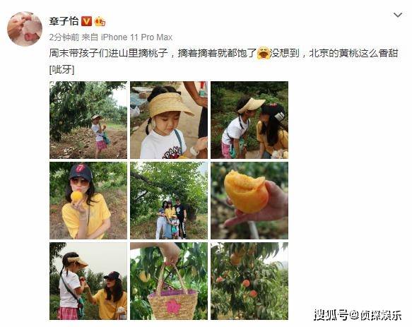 章子怡晒一家四口进山摘桃,小苹果身高超妈妈,醒醒变可爱小吃货