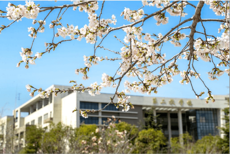 西安财经大学