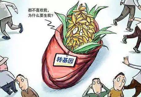 环保冷知识什么是基因污染