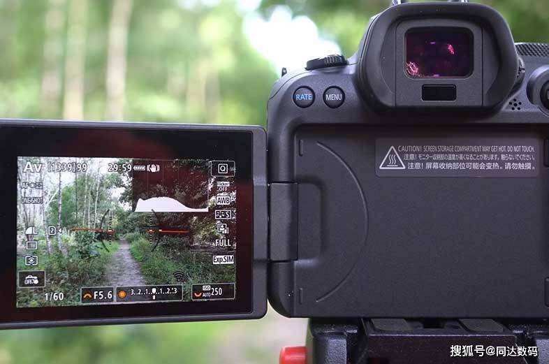 2020年佳能eos r6 八档防抖微单相机,支持鸟类动态捕捉!