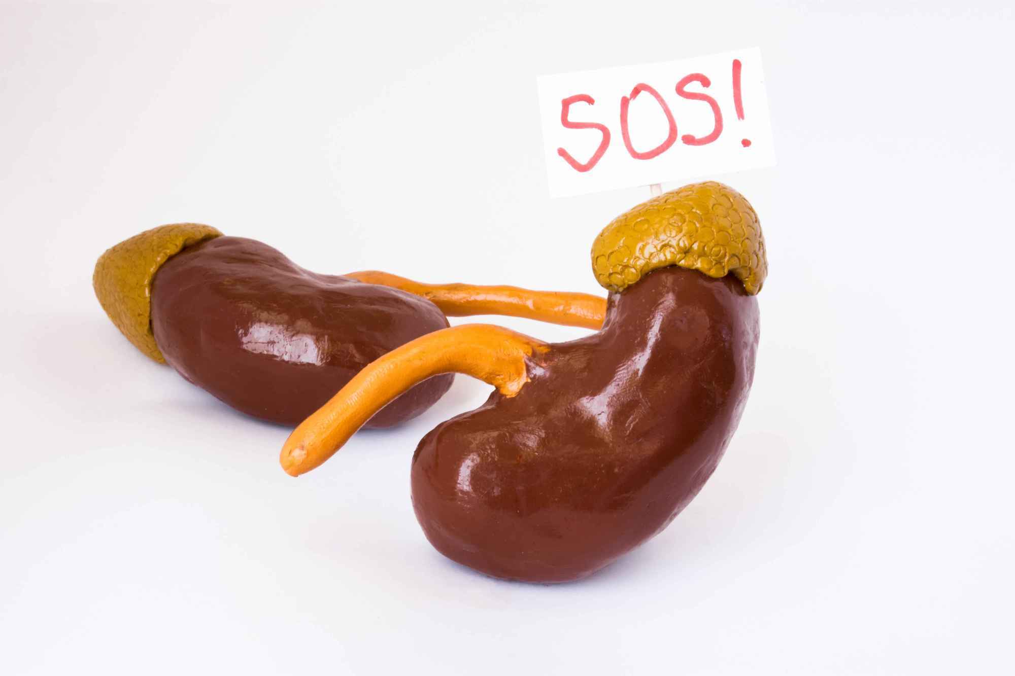 原创脱发就是肾脏不佳？究竟是什么原理，一文告知