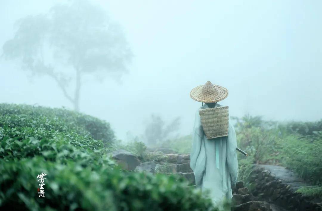 诗词 雨落成诗,诗成画卷,美到极致