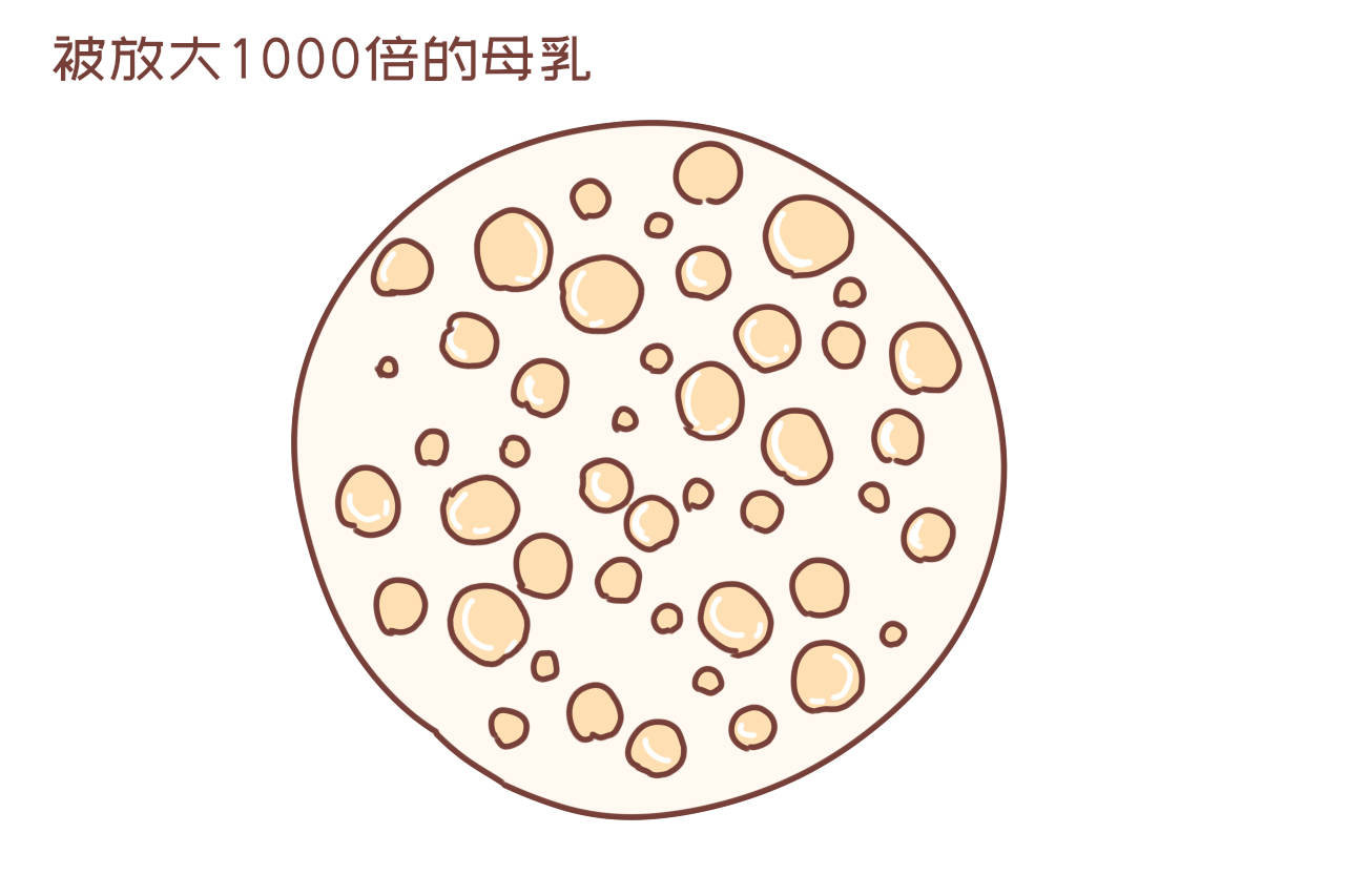女人的母乳有多纯净?专家:显微镜放大千倍后,母乳"活"了