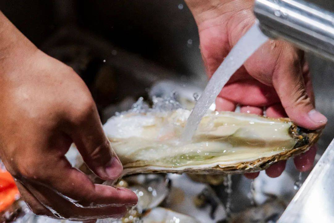 连唐僧|生蚝比47码皮鞋大，连唐僧都无法拒绝藏在昆明小区的老字号烧烤