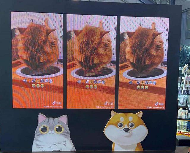 品牌|行业首展开幕：观众破2万，多家展商表示＂超预期＂