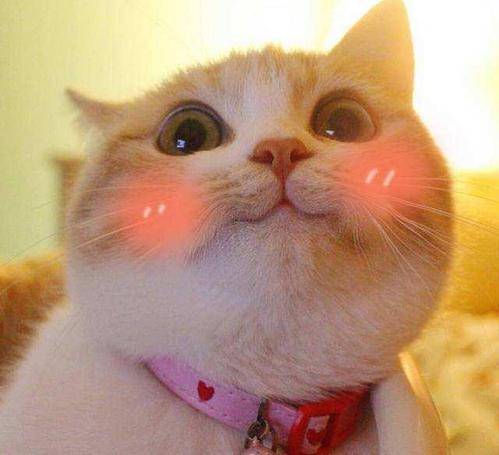 调查|2020年英国大学学生满意度调查出炉！疫情的影响和想象中不一样？