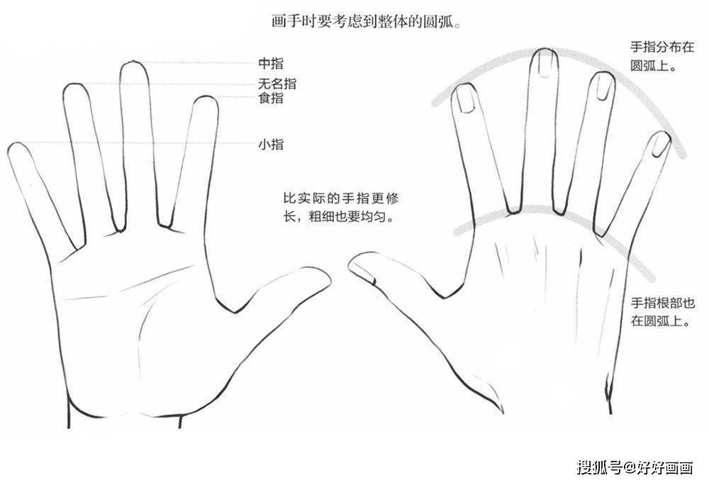 【经验】动漫人物手臂怎么画?