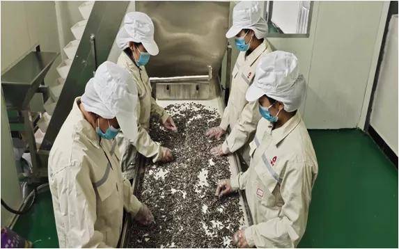 原料|恭喜一颗伴品牌加入微云展，2020掘金社交新零售！