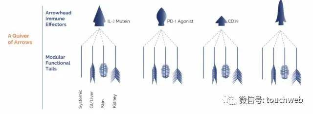 Pandion|生物技术公司Pandion美国上市：市值4.8亿美元