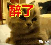 张脸|当年艳绝四方让张雨绮都甘心做配,可现在这张脸说崩就崩了...