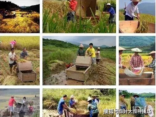 农村8090后小时候做过的农活,你做过几样?曾经的困苦你忘了吗?