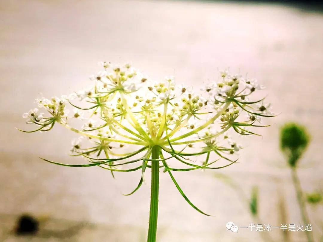 周末日记怎么写