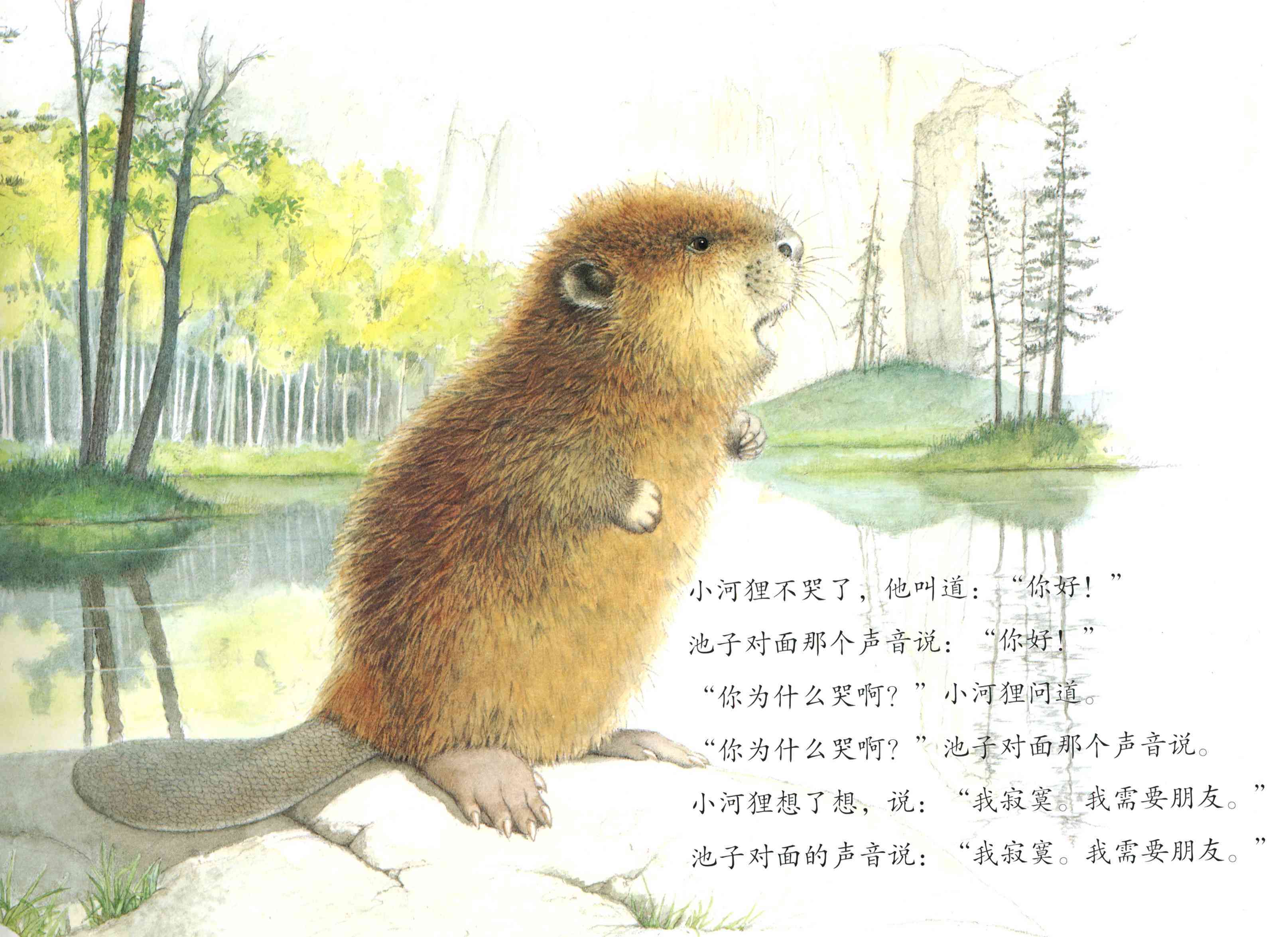 儿童绘本故事推荐《小河狸和回声》