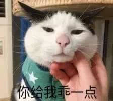 “离开”陈思诚的佟丽娅眼光是真瞎!接戏竟然粉丝说了算