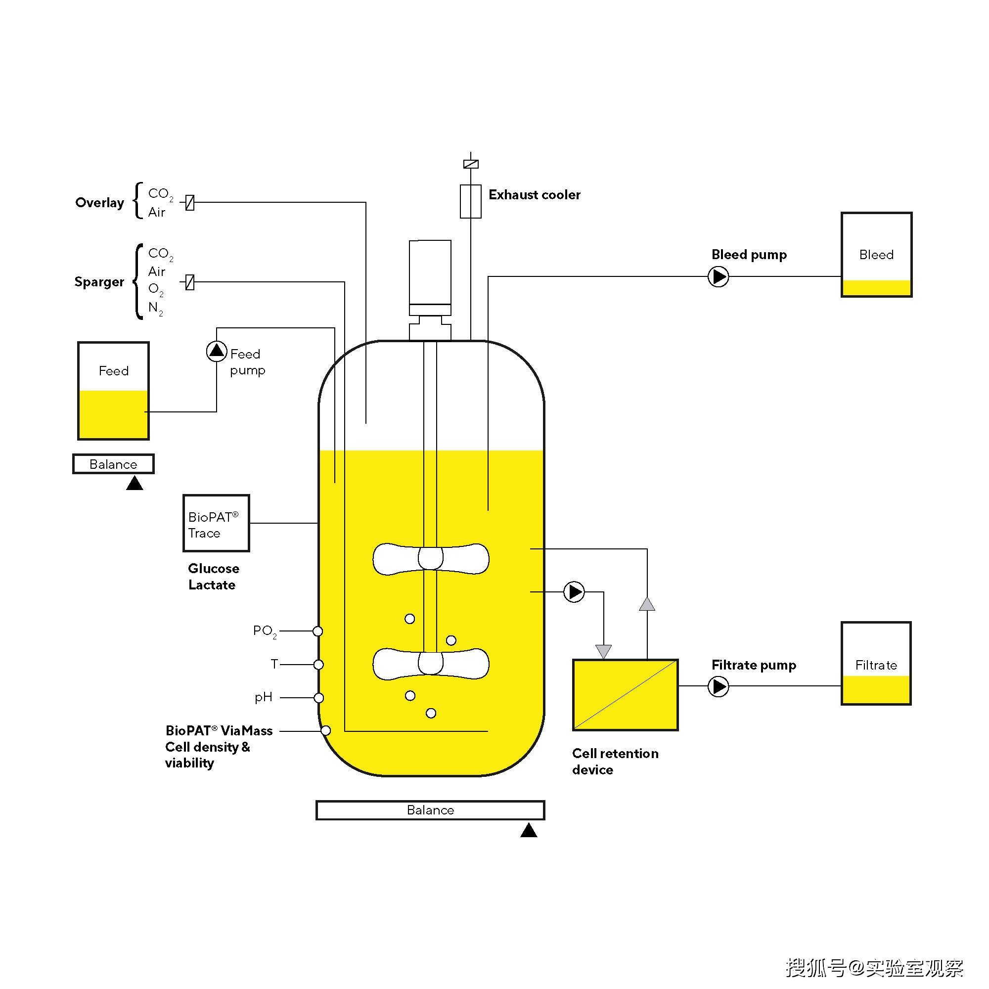 赛多利斯一次性生产平台|biostat str一次性生物反应器|flexsafe str