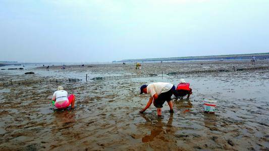 2020鲅鱼圈最佳赶海地点,趁着周末行动起来吧