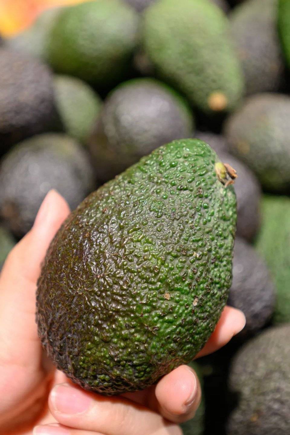 购物|卜蜂莲花购物节来了！连续15天！硬核囤货攻略Get！