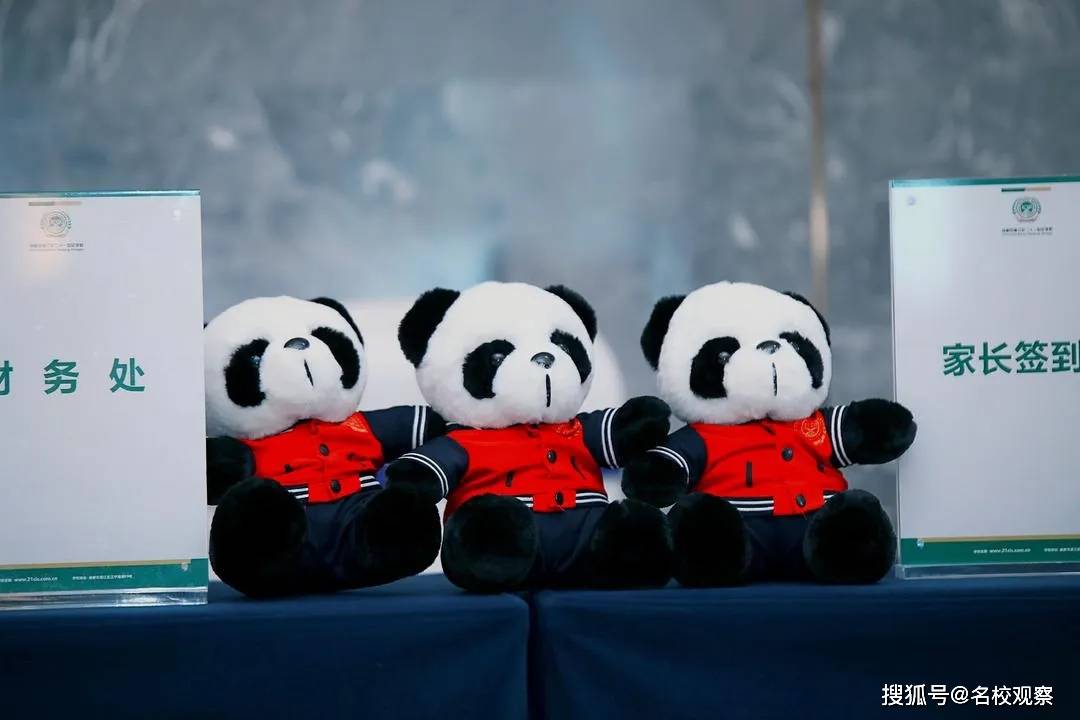 历史|二十一世纪名校升学记：在最青春的年华，读最好的学校，做最美的初中生！