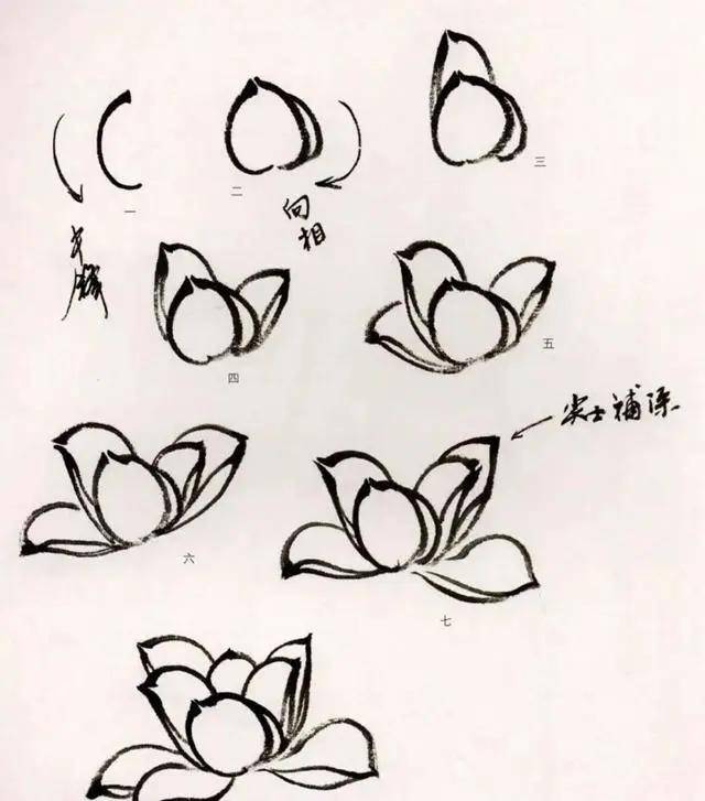 画画基础 来自搜狐网