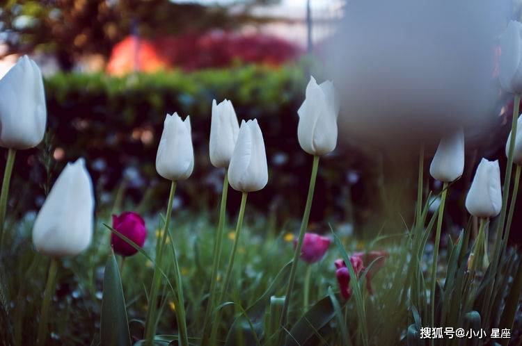 重温旧爱简谱_重温红色记忆手抄报(2)