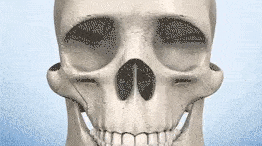 fa|鞠婧祎又换新头，4.0版终于不照骗了？美绝！