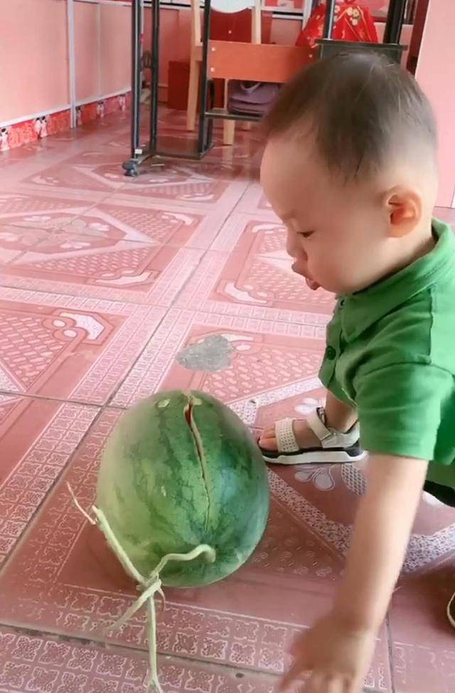 馋嘴宝宝啃带皮西瓜，“咔嚓”一声西瓜裂开，宝宝惊喜模样萌翻了