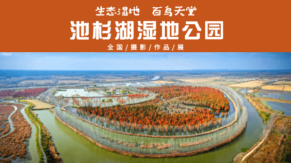 池杉湖湿地公园位于江苏省南京市六合区与安徽省滁州市来安县交界处