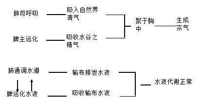 肺与脾(四)心与肾(三)心与肝(二)心与脾(一)心与肺二,五脏之间的关系