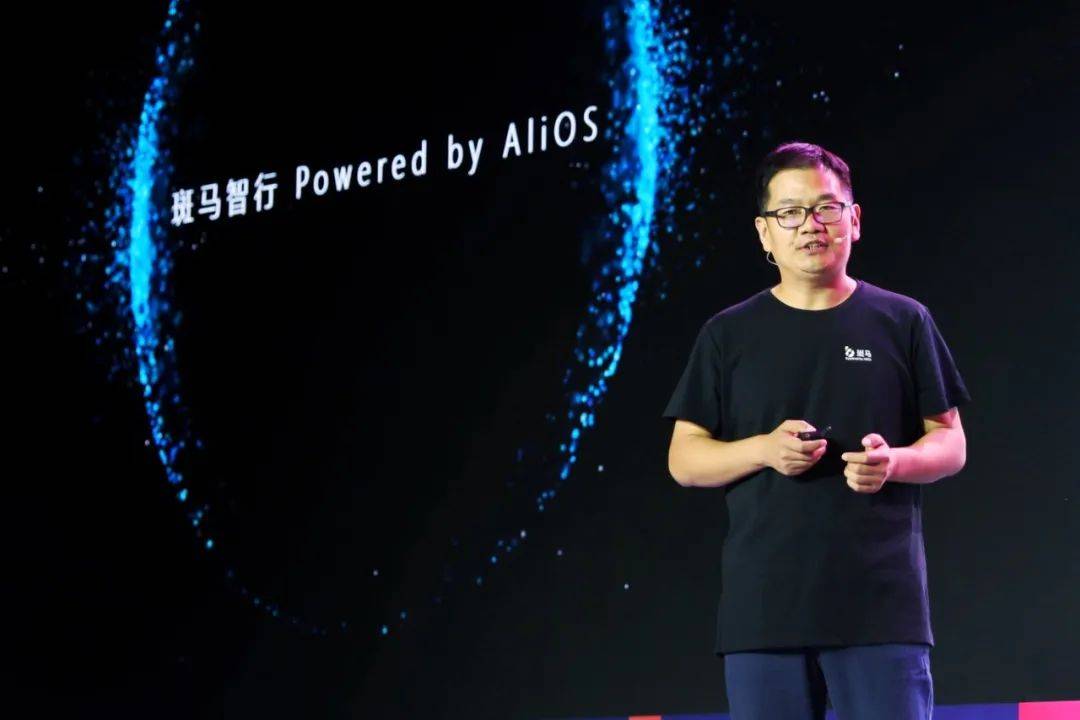 斑马|新斑马乘风破浪