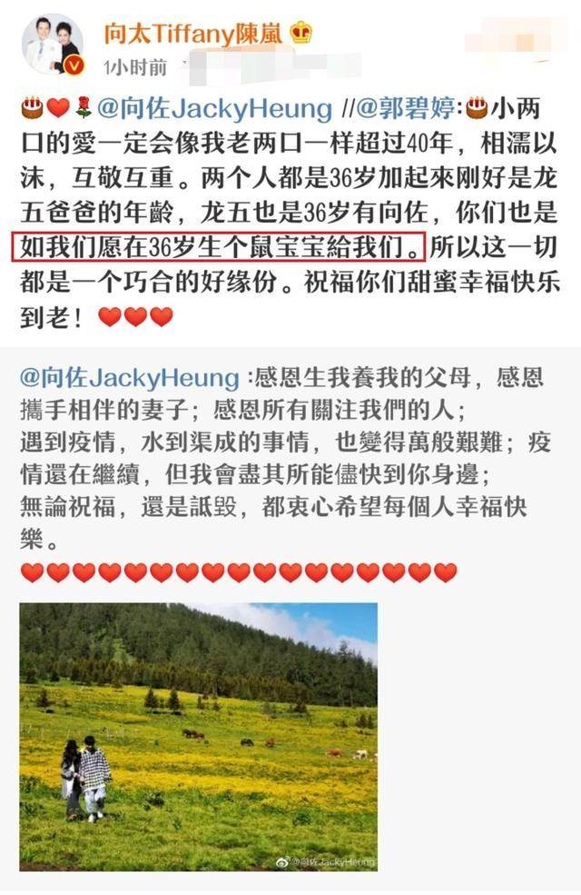 被抓入狱检测17次，蹭张柏芝资源，深扒应采儿的