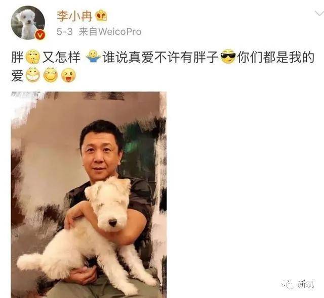 黑道|原创李小冉竟然是《掌中之物》的原型？分手后被黑道男友监听4年，威胁毁容...