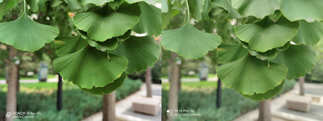 竞技|一亿像素小米10 Pro和RYYB超大底荣耀30 Pro+同台竞技，拍照谁才是真Pro？