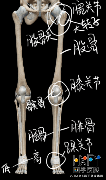 b245b43a8f974109b7690f30d0c9ae2e.png