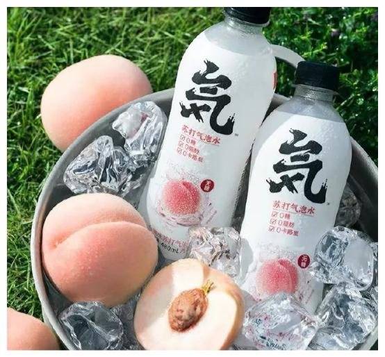 森林|无糖元气森林苏打气泡水，打开2020夏天的大门