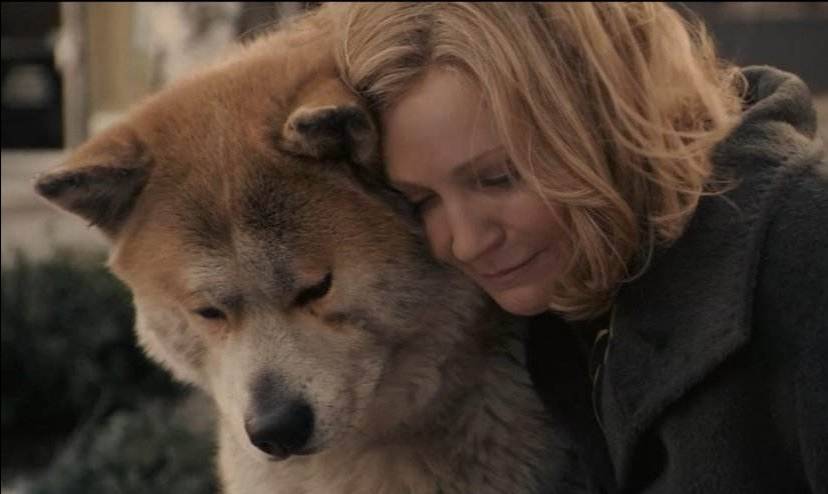 最感人的电影排行_非常感人的一部电影,推荐给大家