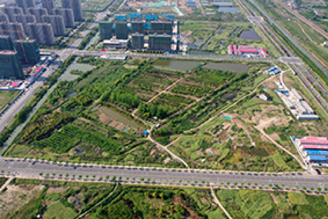 靖江2020年经济总量_2021年靖江规划图(2)
