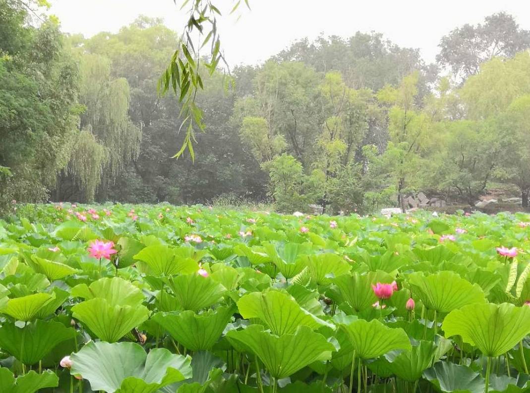 工作|工作后再考研 VS 本科直接考研，差别在哪儿？