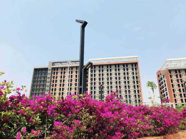 志愿|本科插班生查询录取结果啦！征集志愿必填广州科技职业技术大学