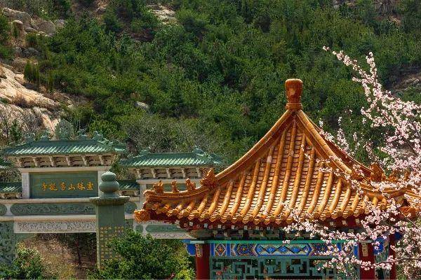 青岛珠山国家森林公园