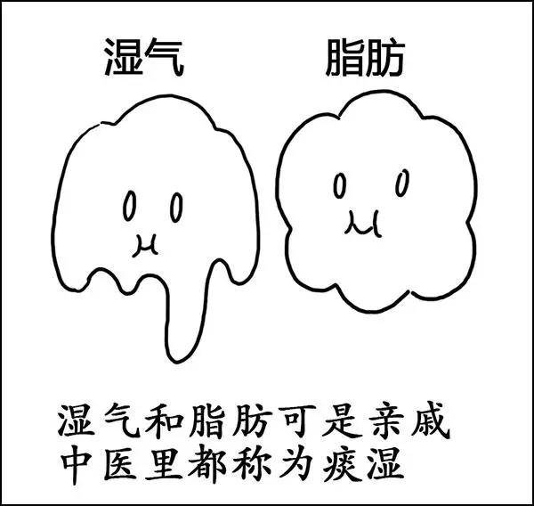 什么|湿气到底是什么？——长胖的罪魁祸首！！