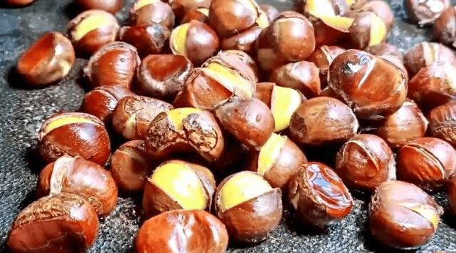 自己在家怎么开板栗 82842c74d21c4bcd82e2a64f85d6366a.png