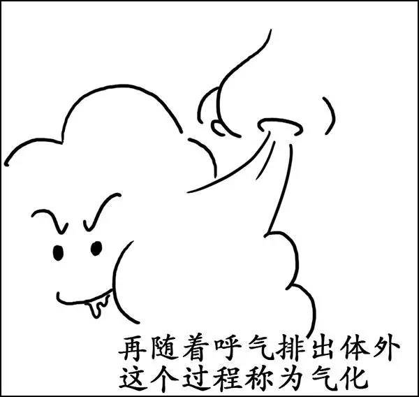 什么|湿气到底是什么？——长胖的罪魁祸首！！